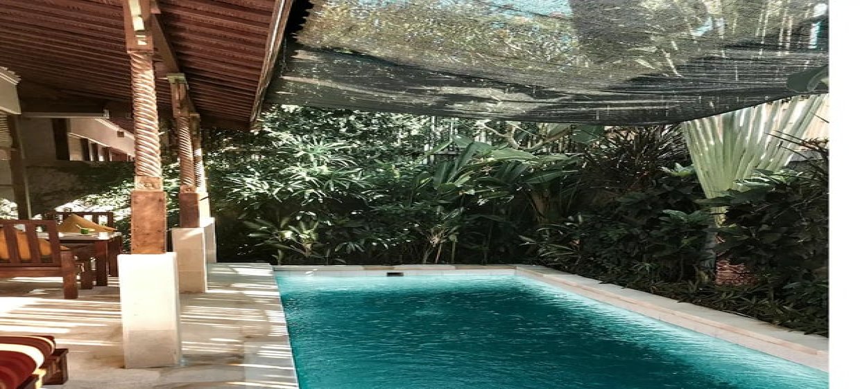 What are the Best Plants for around a Pool in Australia?