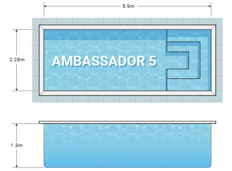 Diagram_Ambassador 5